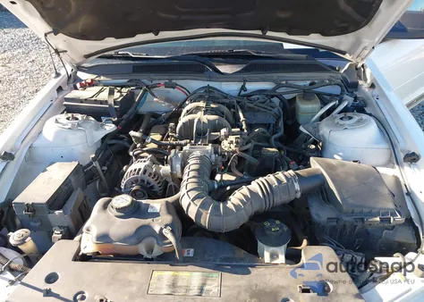 2006 Ford Mustang V6 z USA, uszkodzony, nr VIN 1ZVFT84N365188981